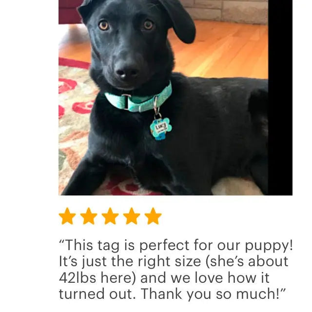 Pet Tag for Dogs - Star Pet Tag - Custom Pet Tag - Dog Pet Tag - Navy Blue & Lime Green Personalized Pet Tag